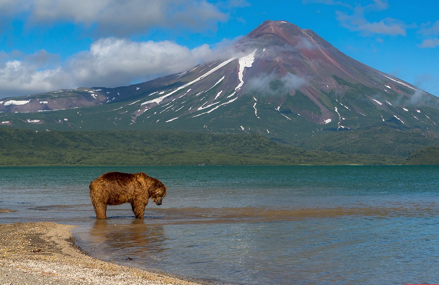 Южно-Камчатский-заказник-04